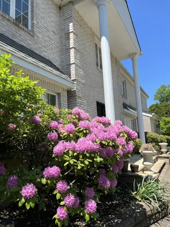 a view of street with flower and flowers