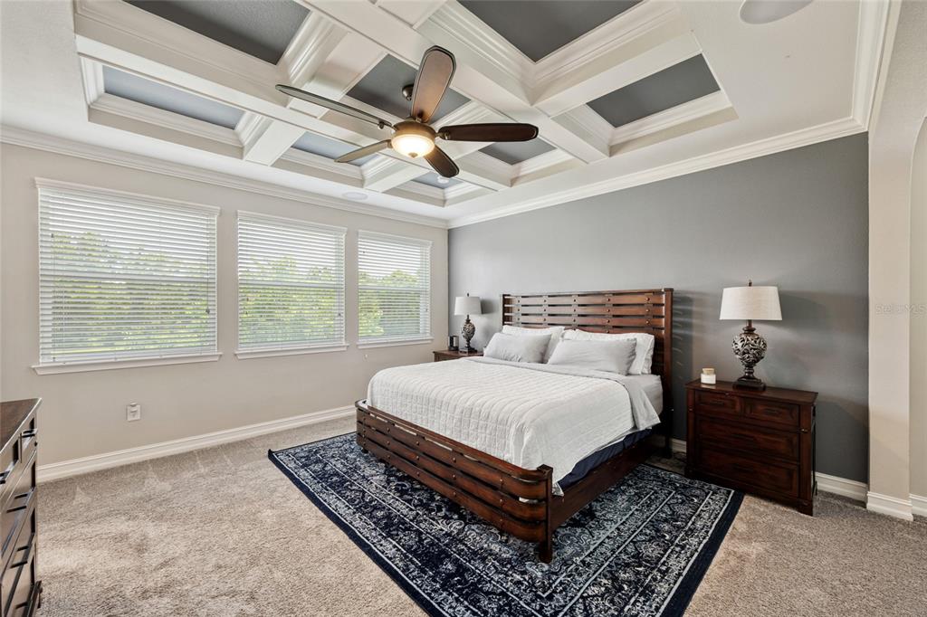 3532 Wicket Field Road Lutz, FL 33548 - Photo 15 of 56