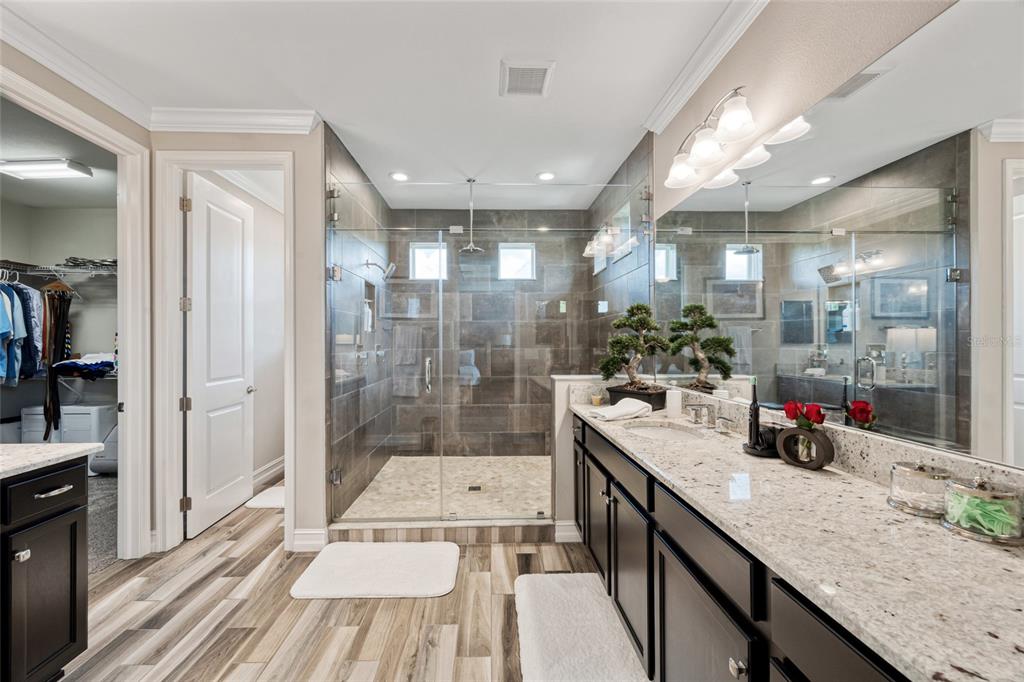 3532 Wicket Field Road Lutz, FL 33548 - Photo 18 of 56