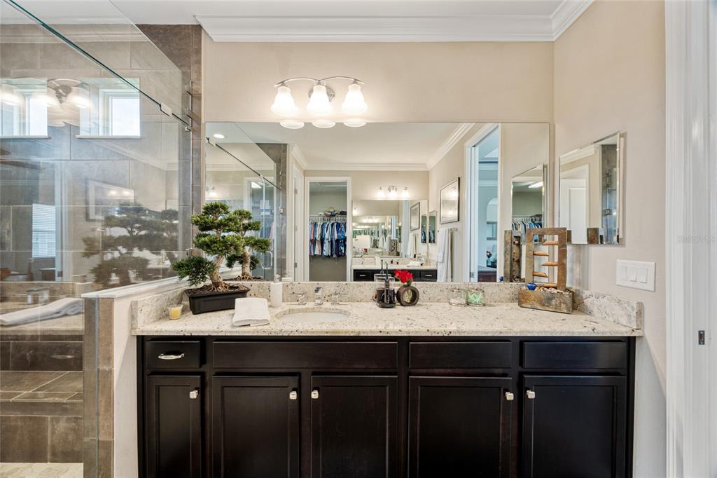 3532 Wicket Field Road Lutz, FL 33548 - Photo 21 of 56