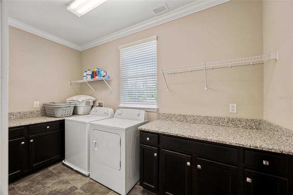 3532 Wicket Field Road Lutz, FL 33548 - Photo 27 of 56