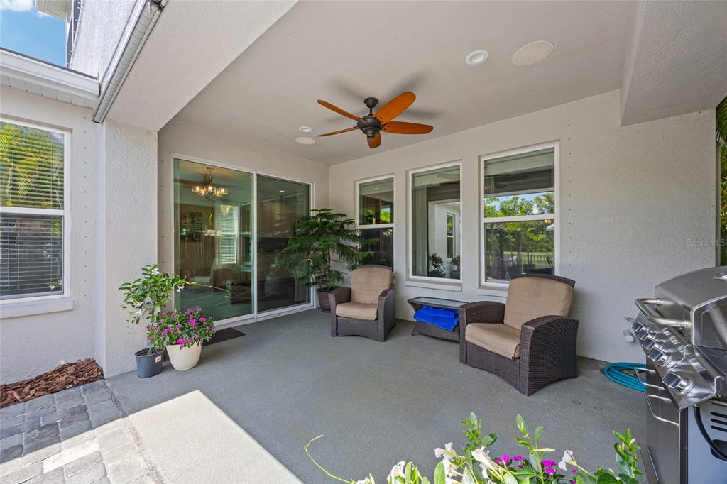 3532 Wicket Field Road Lutz, FL 33548 - Photo 33 of 56