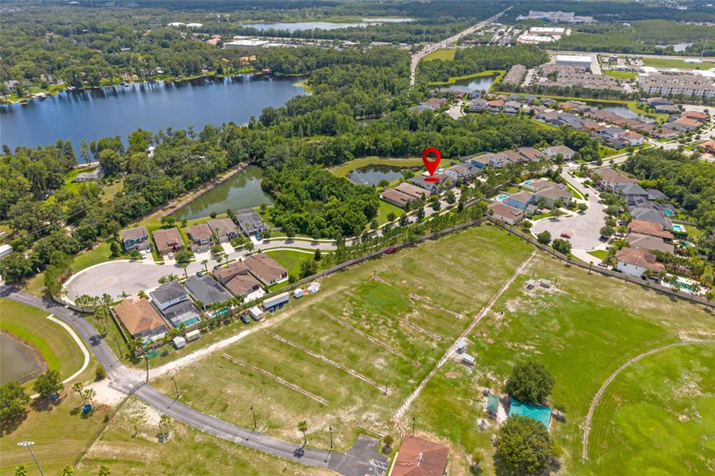 3532 Wicket Field Road Lutz, FL 33548 - Photo 37 of 56