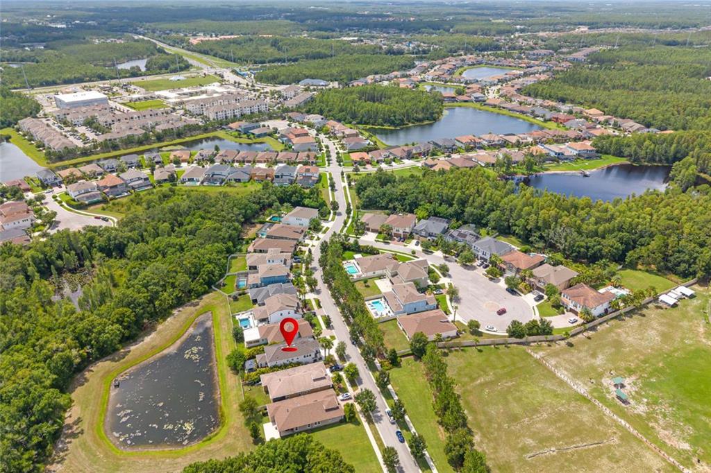 3532 Wicket Field Road Lutz, FL 33548 - Photo 38 of 56