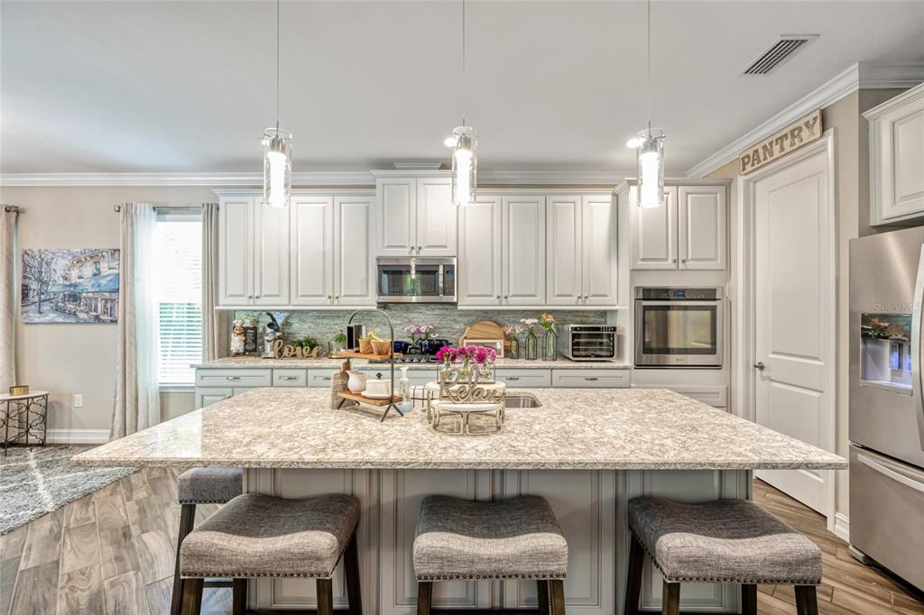 3532 Wicket Field Road Lutz, FL 33548 - Photo 4 of 56