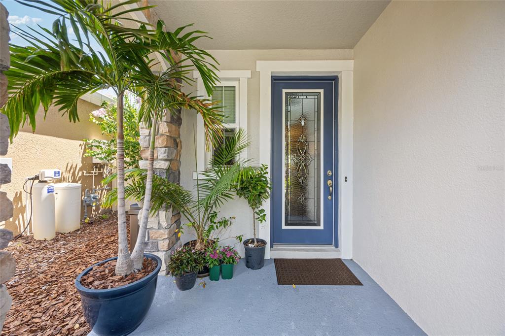 3532 Wicket Field Road Lutz, FL 33548 - Photo 8 of 56