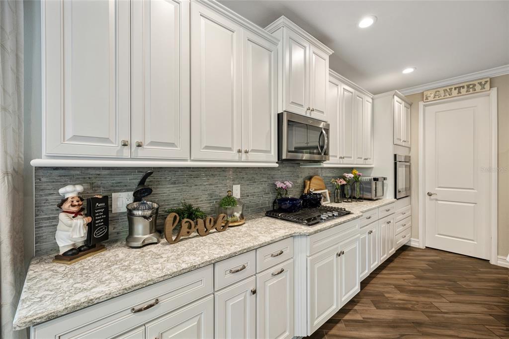 3532 Wicket Field Road Lutz, FL 33548 - Photo 10 of 56