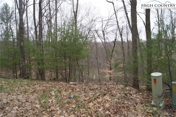 a backyard of a house with lots of trees