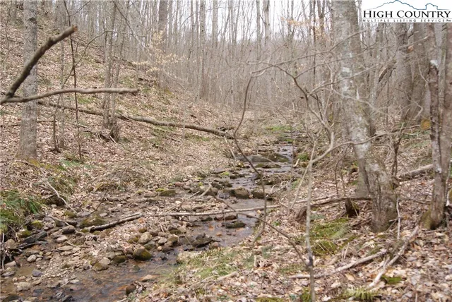 $26,300 | Lot 75 Forest Hill Drive, Sparta, NC 28675