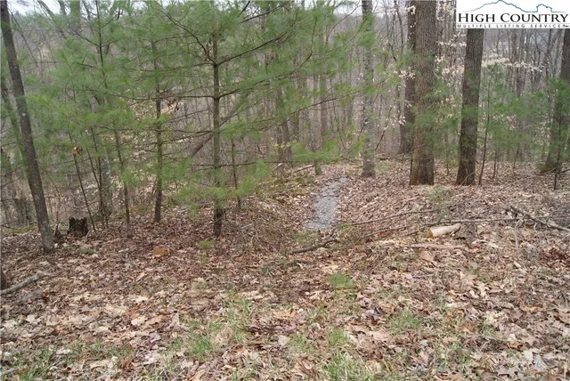 $26,300 | Lot 75 Forest Hill Drive, Sparta, NC 28675