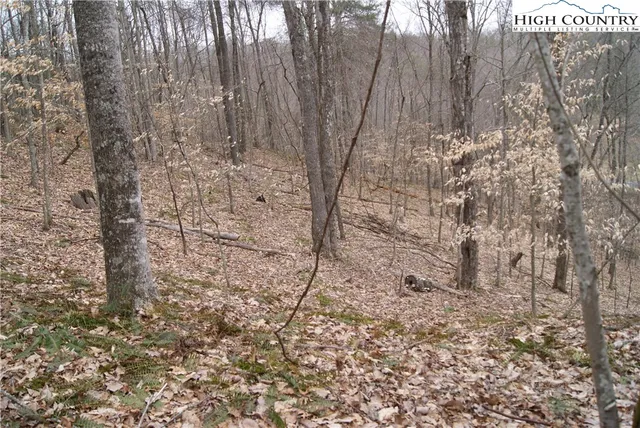 $26,300 | Lot 75 Forest Hill Drive, Sparta, NC 28675