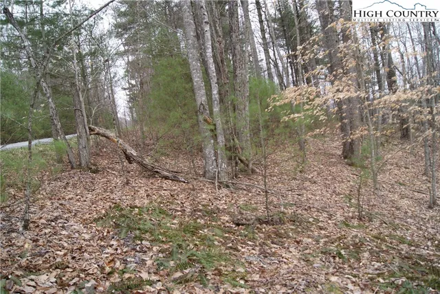 $26,300 | Lot 75 Forest Hill Drive, Sparta, NC 28675