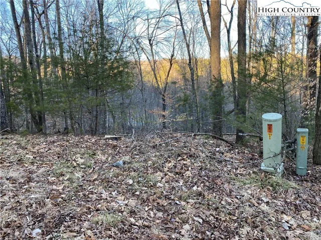 $26,300 | Lot 75 Forest Hill Drive, Sparta, NC 28675