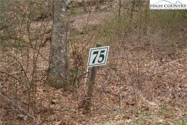 $26,300 | Lot 75 Forest Hill Drive, Sparta, NC 28675