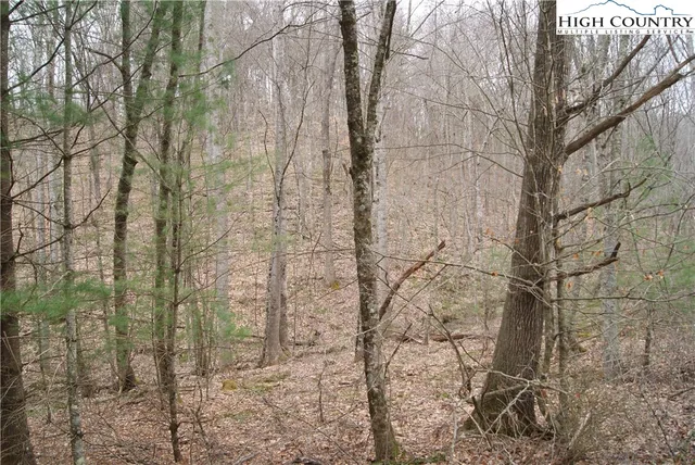 $26,300 | Lot 75 Forest Hill Drive, Sparta, NC 28675