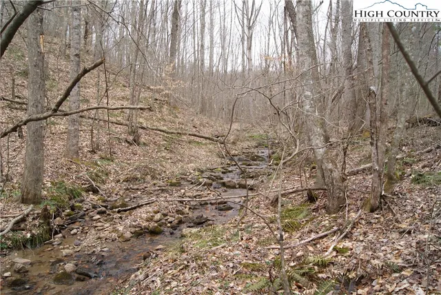 $26,300 | Lot 75 Forest Hill Drive, Sparta, NC 28675