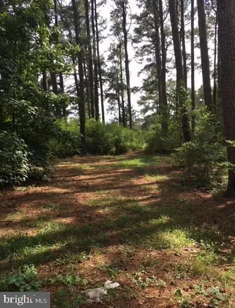 $65,000 | Lot 2 Hearts Drive, Marion Station, MD 21838