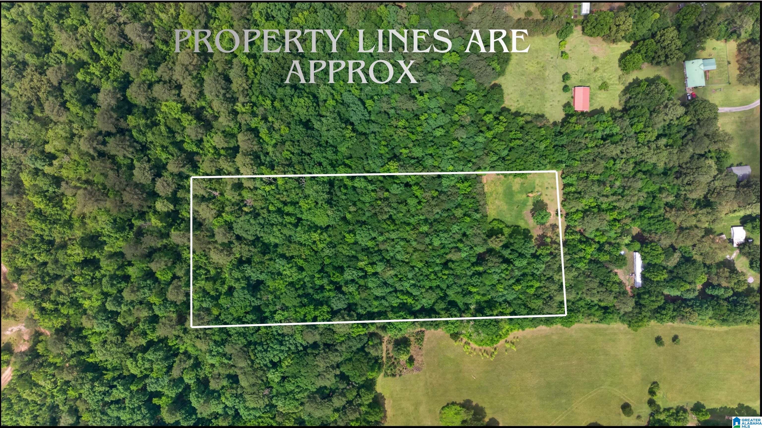 930 Anniston Beach Road Anniston, AL 36206 - Photo 12 of 23