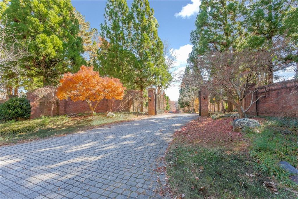 a view of a yard with plants and trees