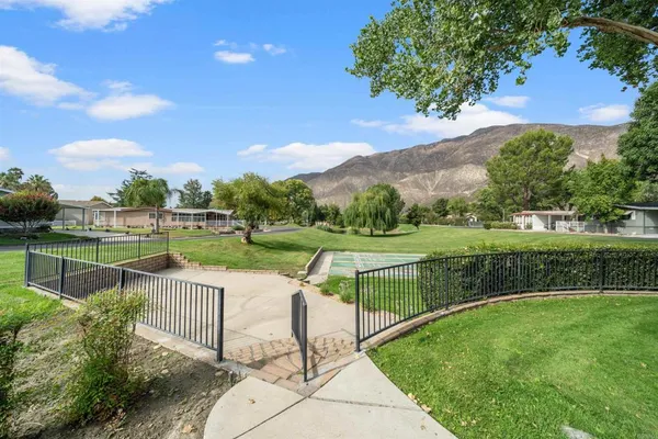 an outdoor view of a garden