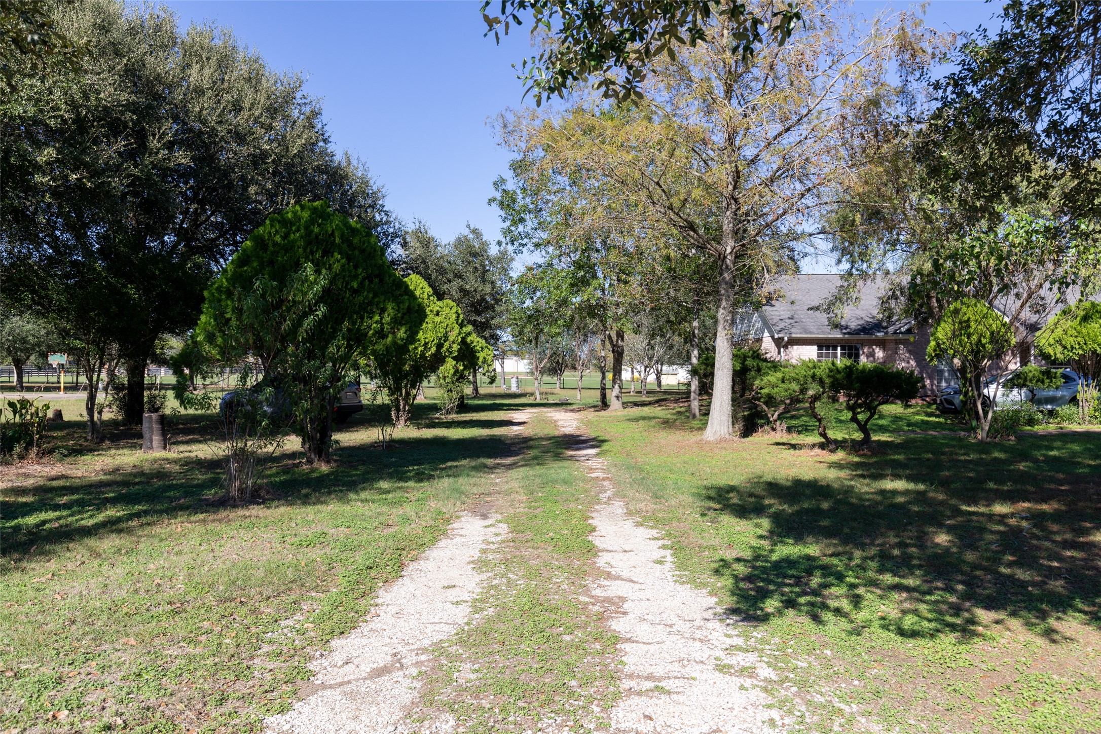 16004 Penick Road Waller, TX 77484 - Photo 37 of 50 a view of yard with green space
