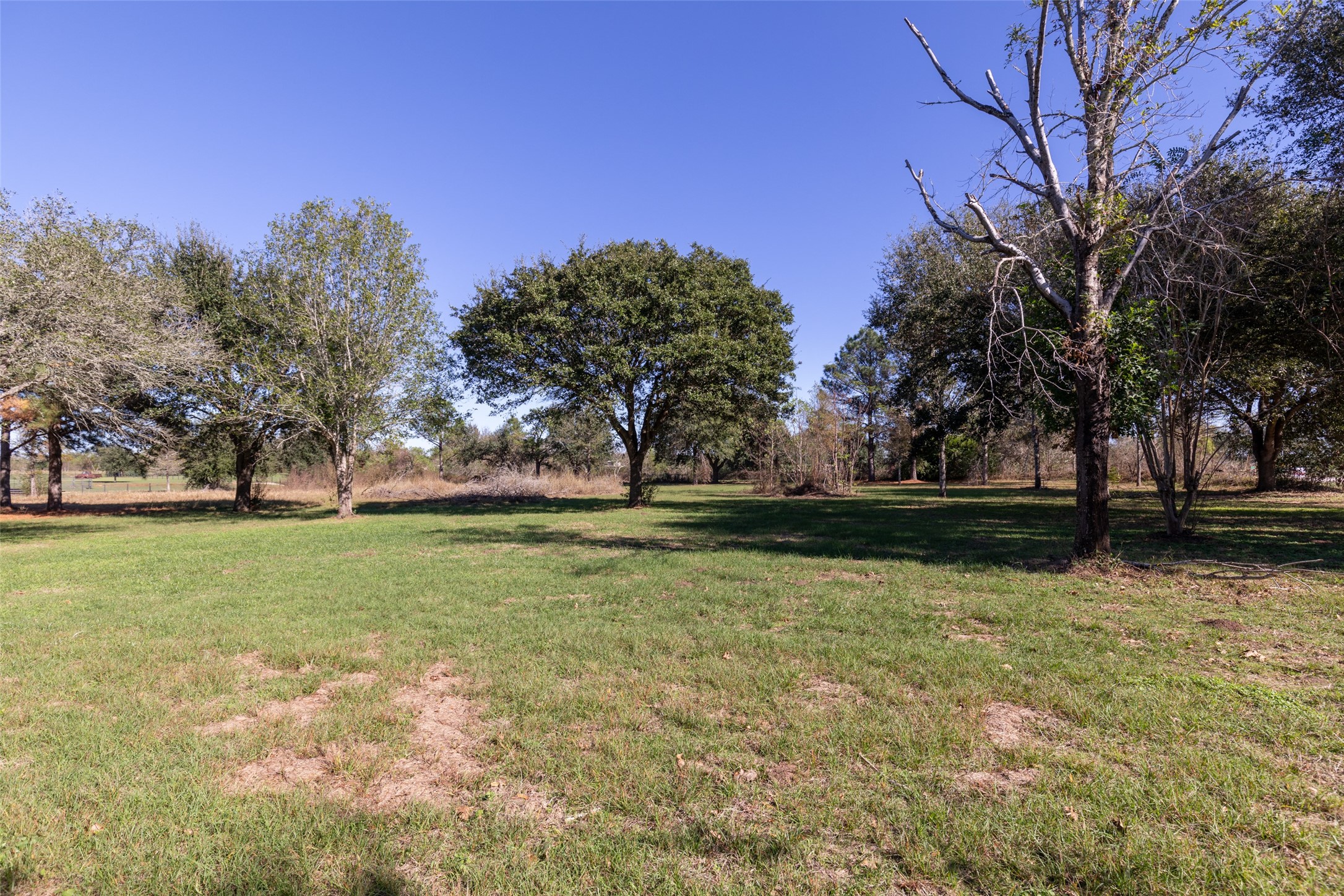 16004 Penick Road Waller, TX 77484 - Photo 41 of 50 a view of a yard