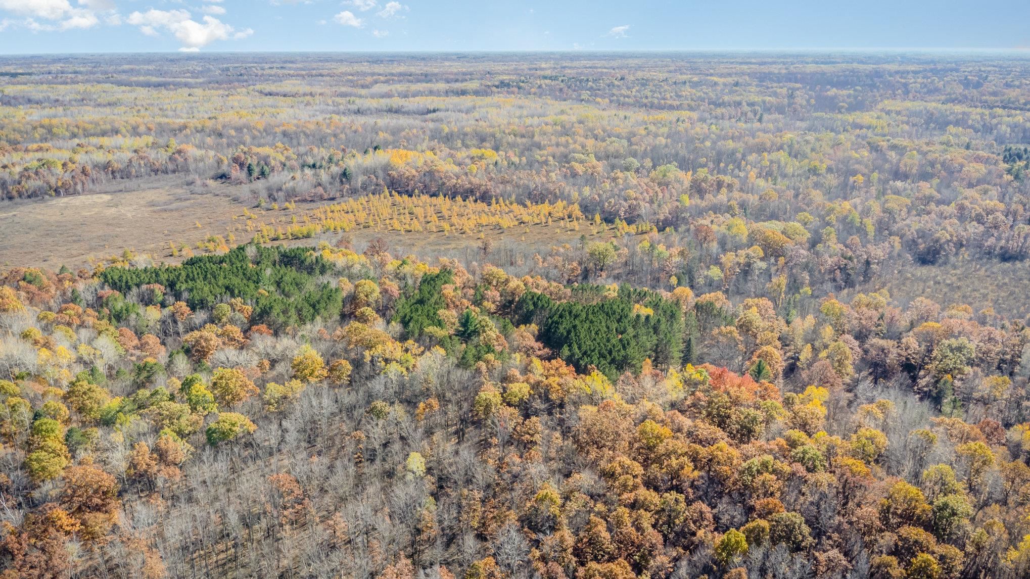 3385 Jones Road Rhodes, MI 48652 - Photo 34 of 56
