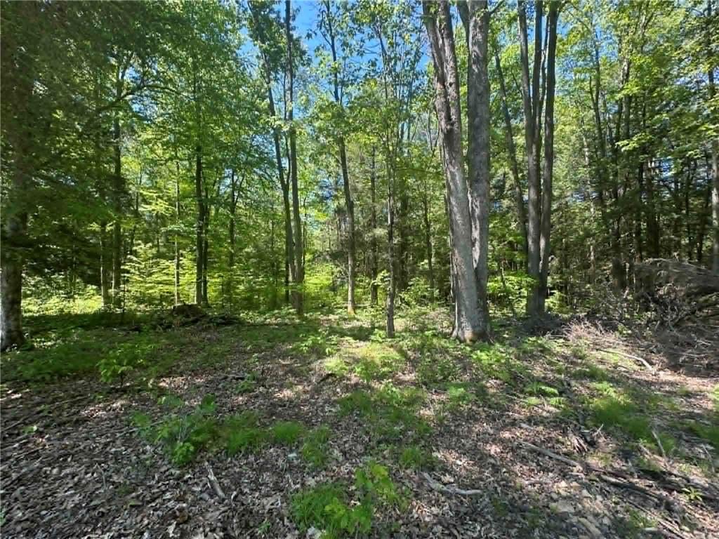 113 Elk Bugle Road Weedville, PA 15868 - Photo 34 of 39