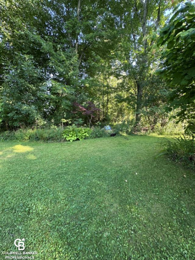 10729 Brandon Road Emmett, MI 48022 - Photo 40 of 48