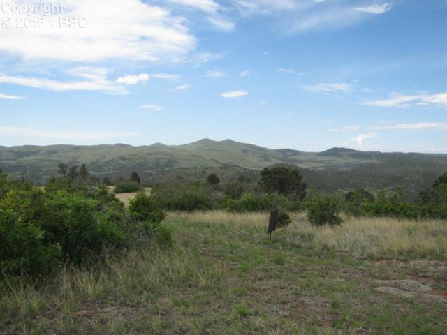 519 Cheyenne Road Florissant, CO 80816 - Photo 3 of 14