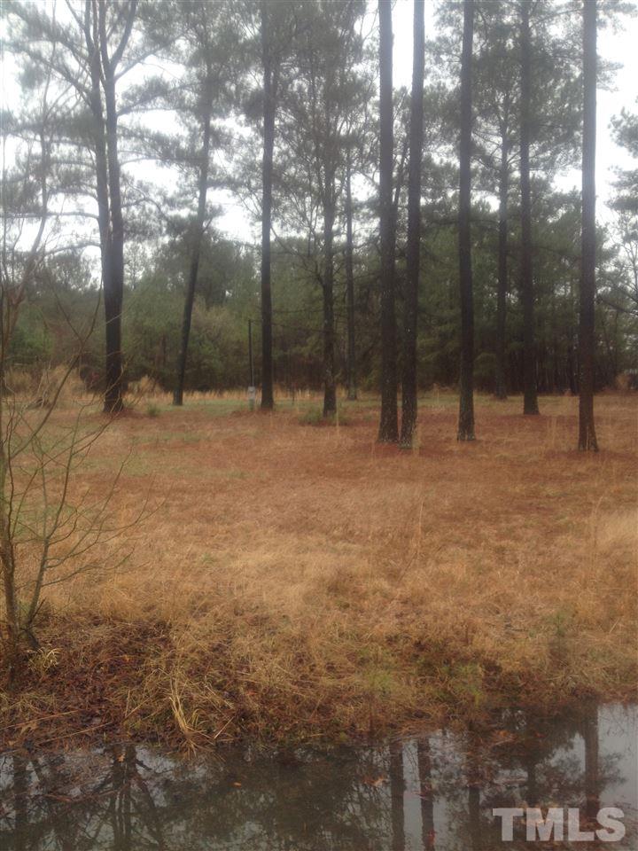 1090 Hales Road Kenly, NC 27542 - Photo 1 of 2 Gallery Image 1