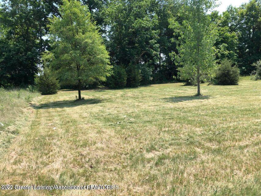 7082 Cedar Ridge Drive Portland, MI 48875 - Photo 3 of 5 Schafer Lot 6