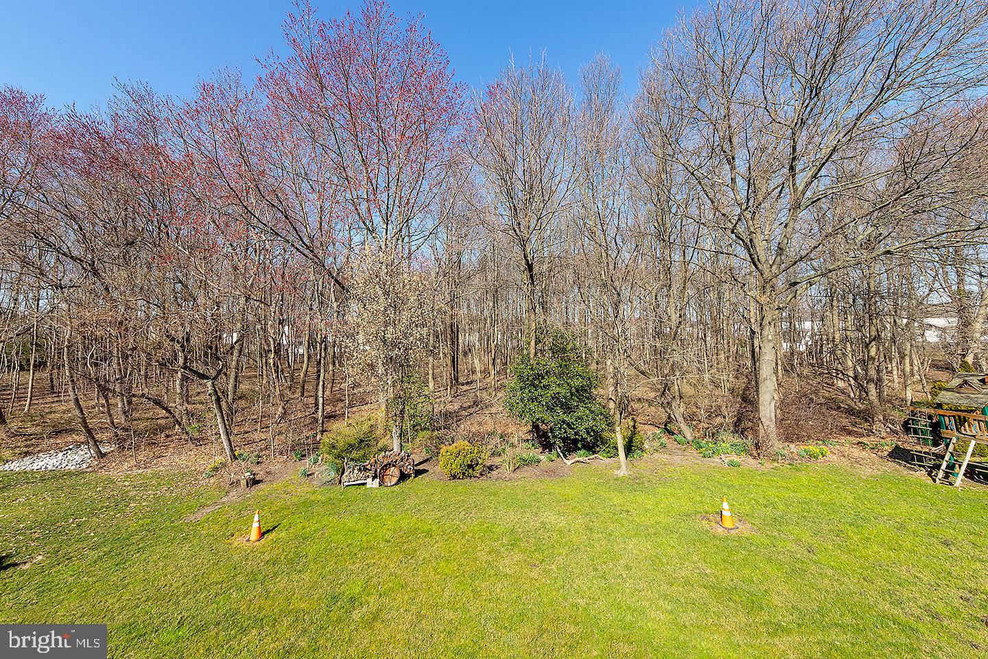 30 Springcress Drive Delran, NJ 08075 - Photo 28 of 32 Backyard