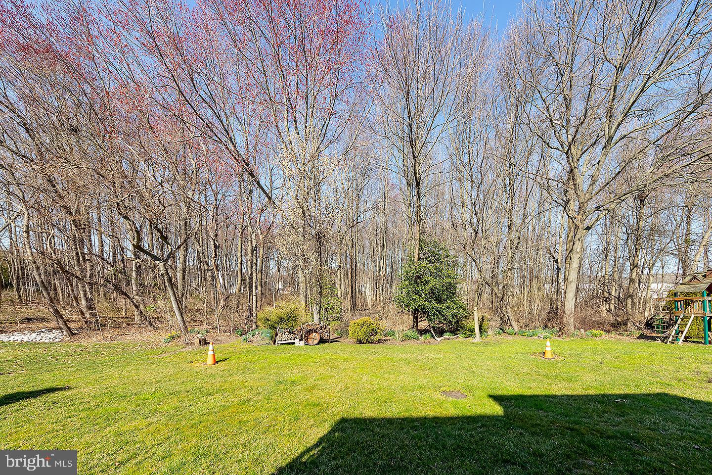 30 Springcress Drive Delran, NJ 08075 - Photo 29 of 32 Backyard