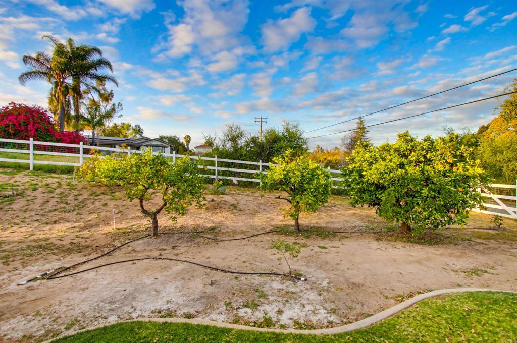 2092 Tudor Lane Fallbrook, CA 92028 - Photo 32 of 52 a view of a yard with a slide