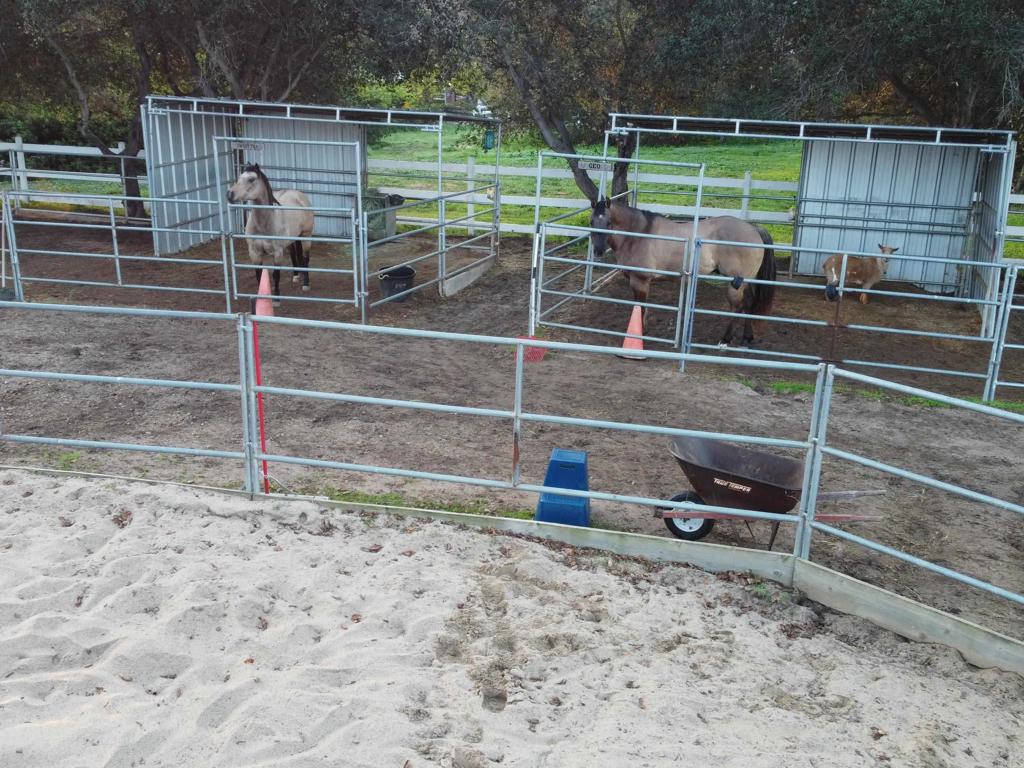 2092 Tudor Lane Fallbrook, CA 92028 - Photo 43 of 52 a view of a backyard with a wooden fence