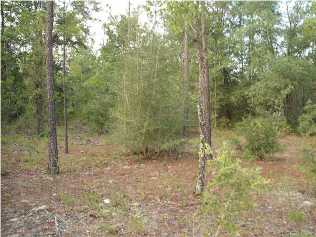 0 Homestead Road Baker, FL 32531 - Photo 2 of 7 a view of a forest that has large trees