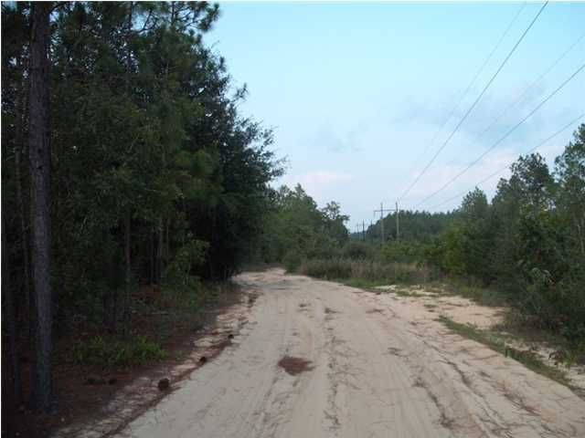 0 Homestead Road Baker, FL 32531 - Photo 3 of 7 a view of a dry yard with trees in the background