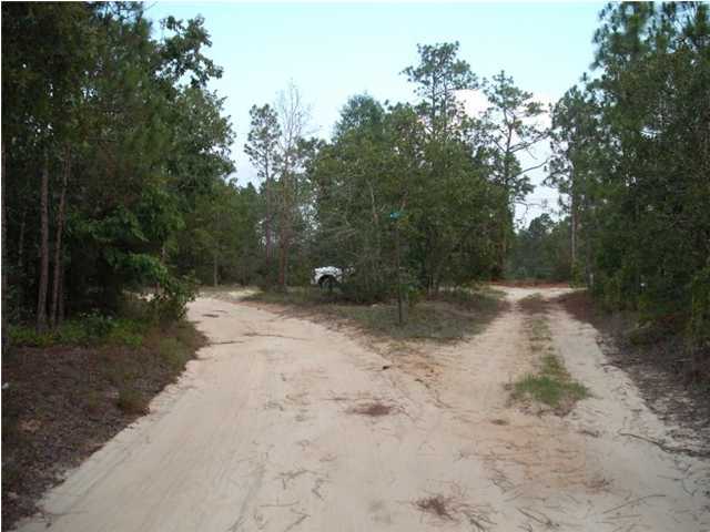 0 Homestead Road Baker, FL 32531 - Photo 4 of 7 a view of a yard with a tree