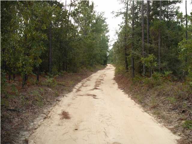 0 Homestead Road Baker, FL 32531 - Photo 5 of 7 a view of a dry yard with trees in the background