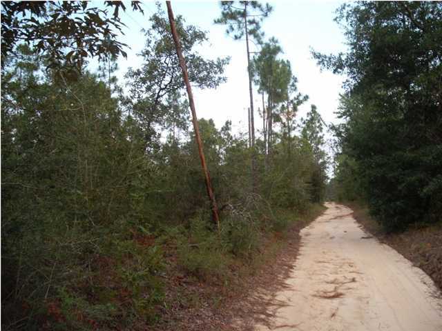 0 Homestead Road Baker, FL 32531 - Photo 6 of 7 a view of outdoor space and tree