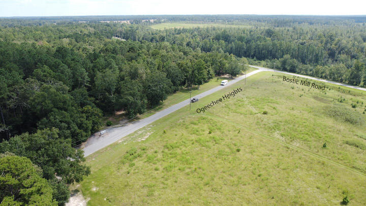 1042 Cadeli Road Bartow, GA 30413 - Photo 6 of 22 DJI_0718 copy