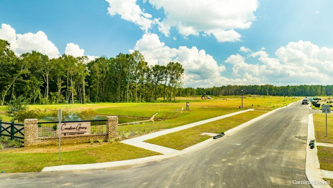 202 Wild Strawberry Lane Moncks Corner, SC 29461 - Photo 3 of 37 Carolina Grove Drone_2