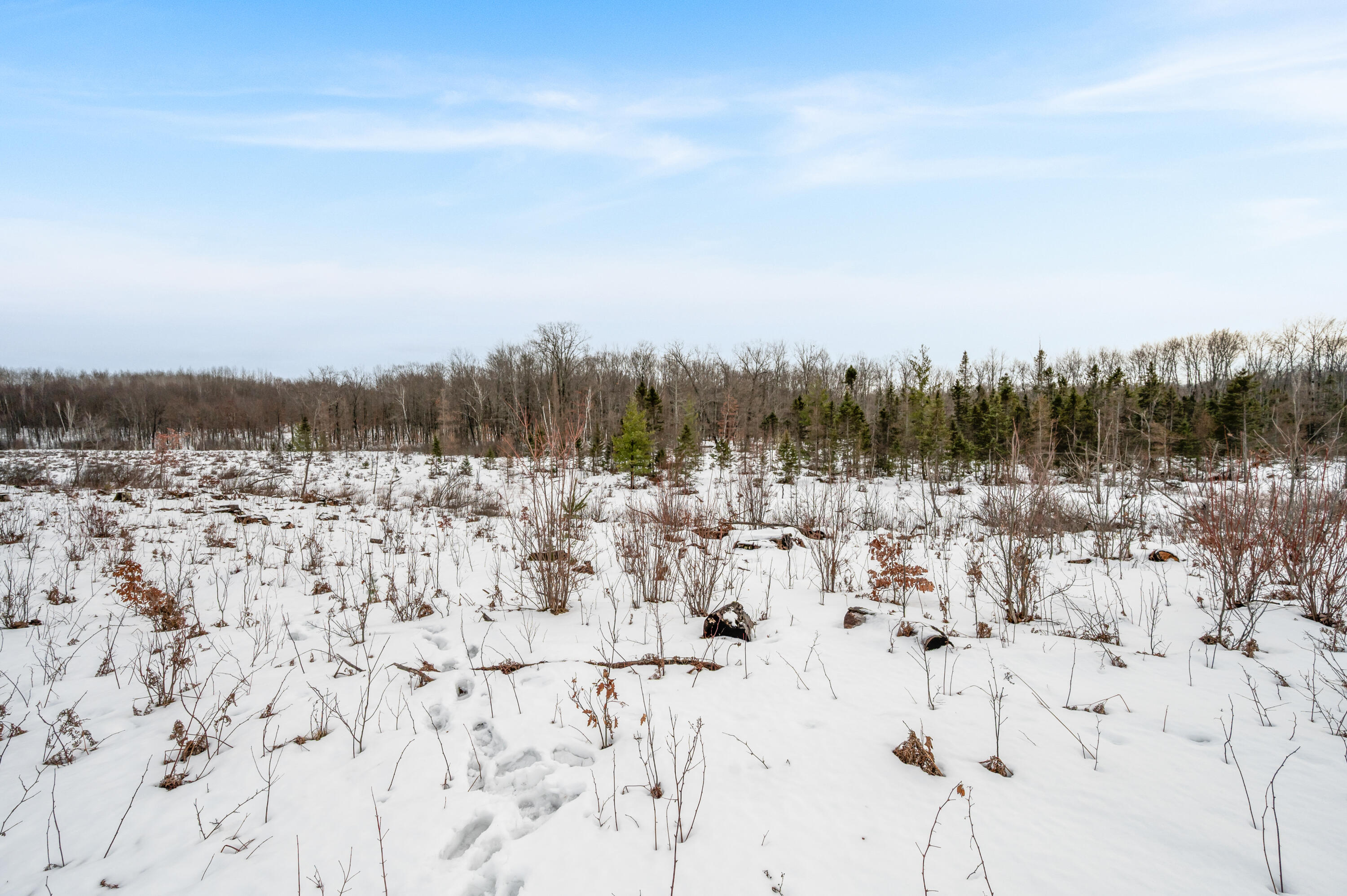 16107 12 Mile Road Leroy, MI 49655 - Photo 21 of 35 16107-12MileRd-LeRoy-50