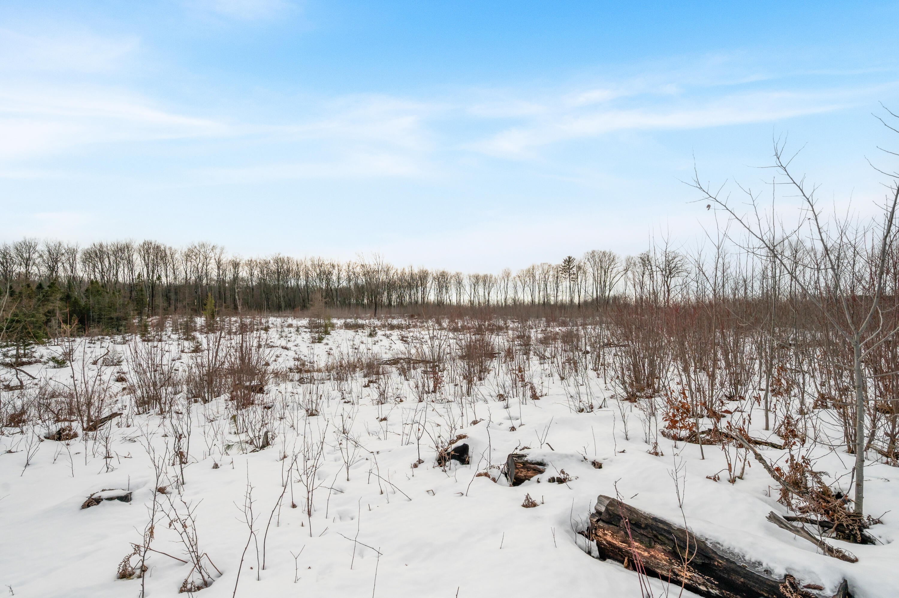 16107 12 Mile Road Leroy, MI 49655 - Photo 22 of 35 16107-12MileRd-LeRoy-51