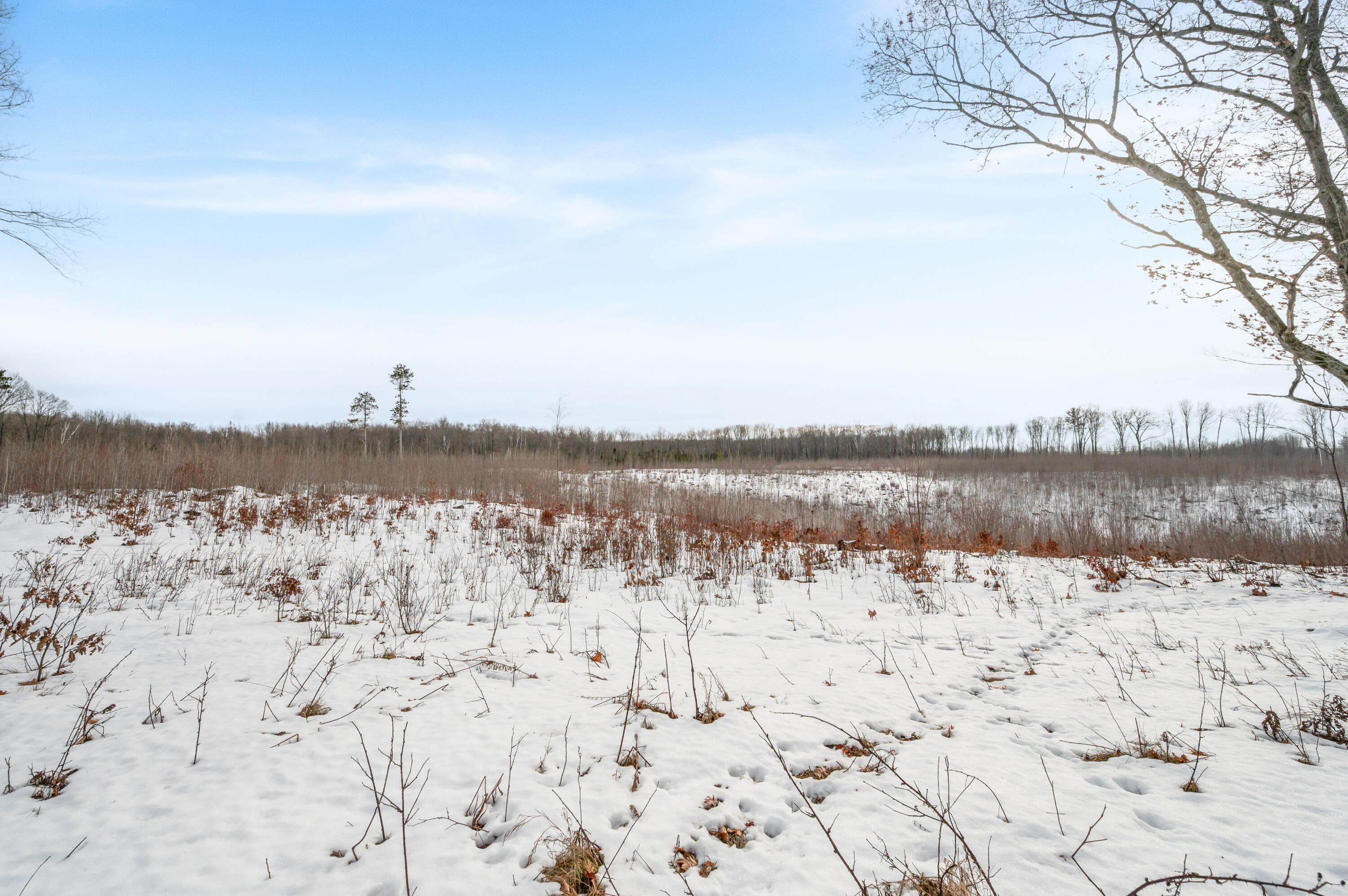 16107 12 Mile Road Leroy, MI 49655 - Photo 23 of 35 16107-12MileRd-LeRoy-55