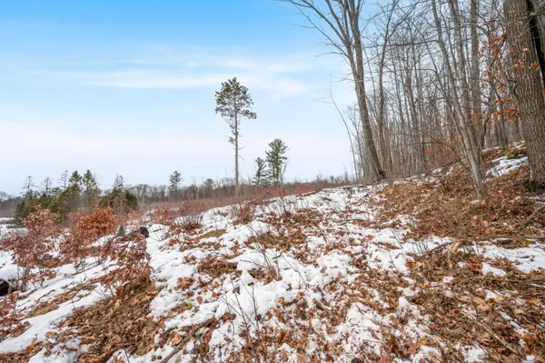 $212,900 | 16107 12 Mile Road, Leroy, MI 49655