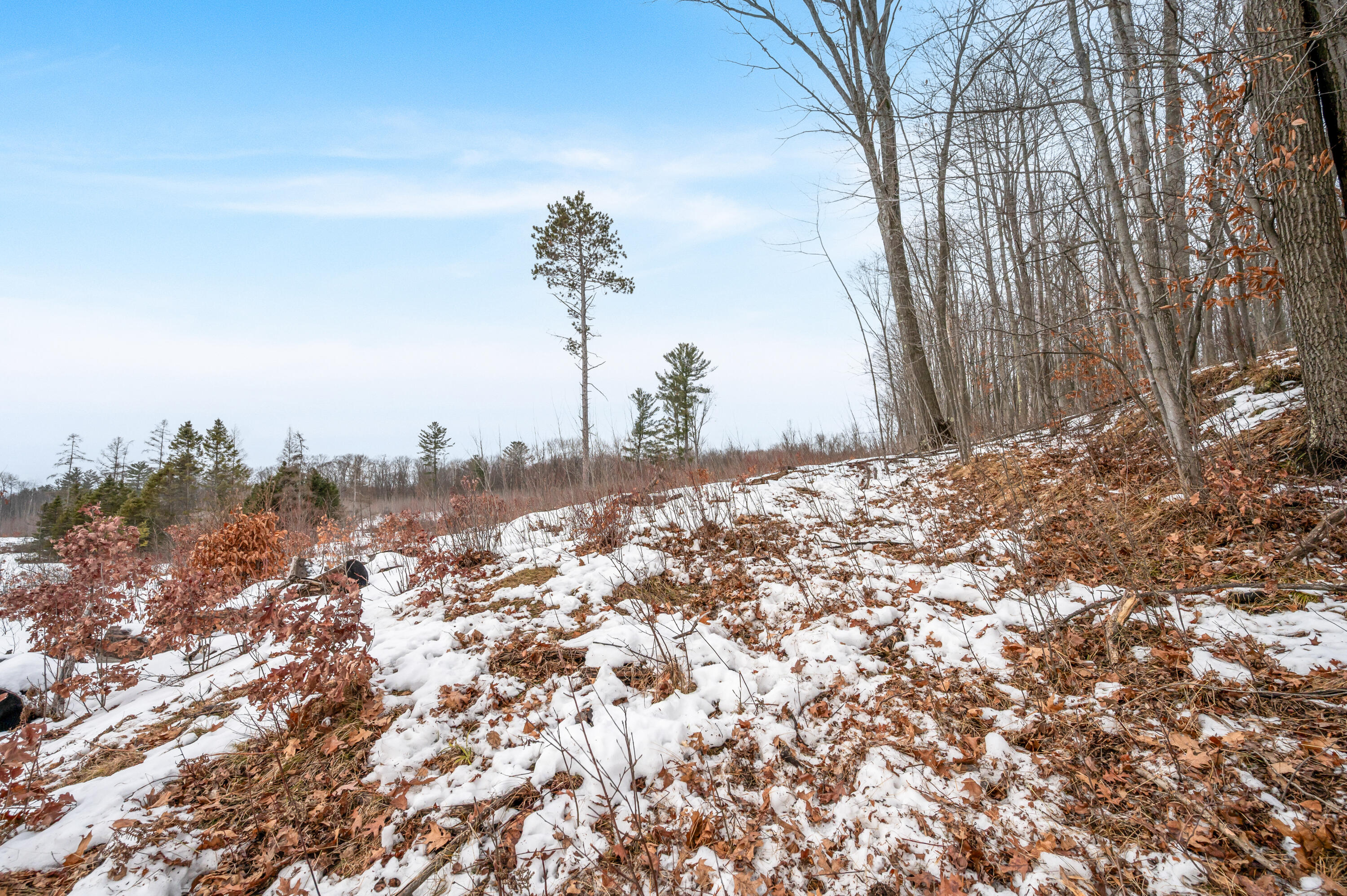 16107 12 Mile Road Leroy, MI 49655 - Photo 24 of 35 16107-12MileRd-LeRoy-38