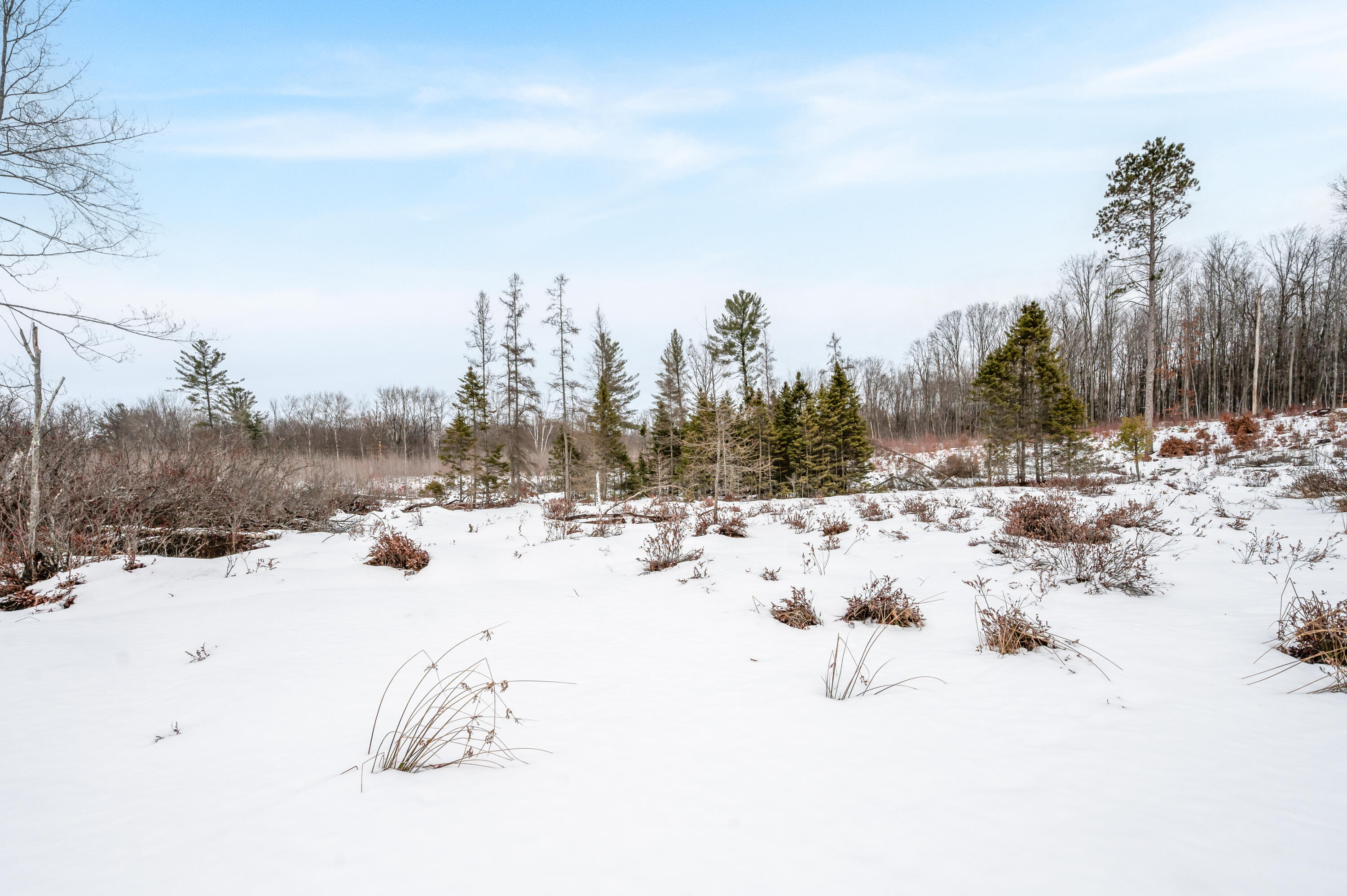 16107 12 Mile Road Leroy, MI 49655 - Photo 26 of 35 16107-12MileRd-LeRoy-43