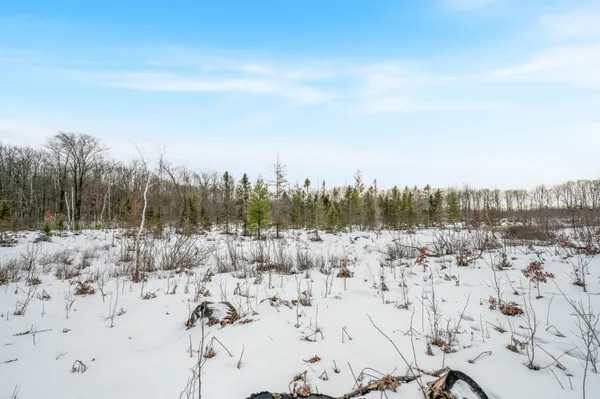 $212,900 | 16107 12 Mile Road, Leroy, MI 49655